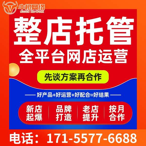 阿克苏电商代运营