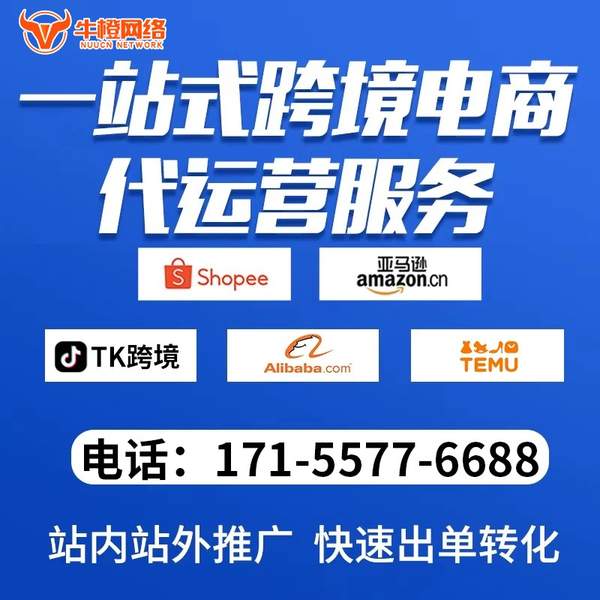 阿克苏电商代运营
