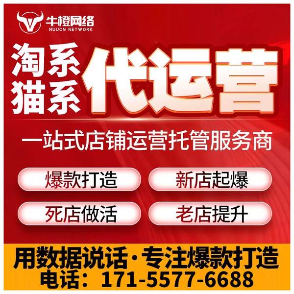 阿克苏电商代运营